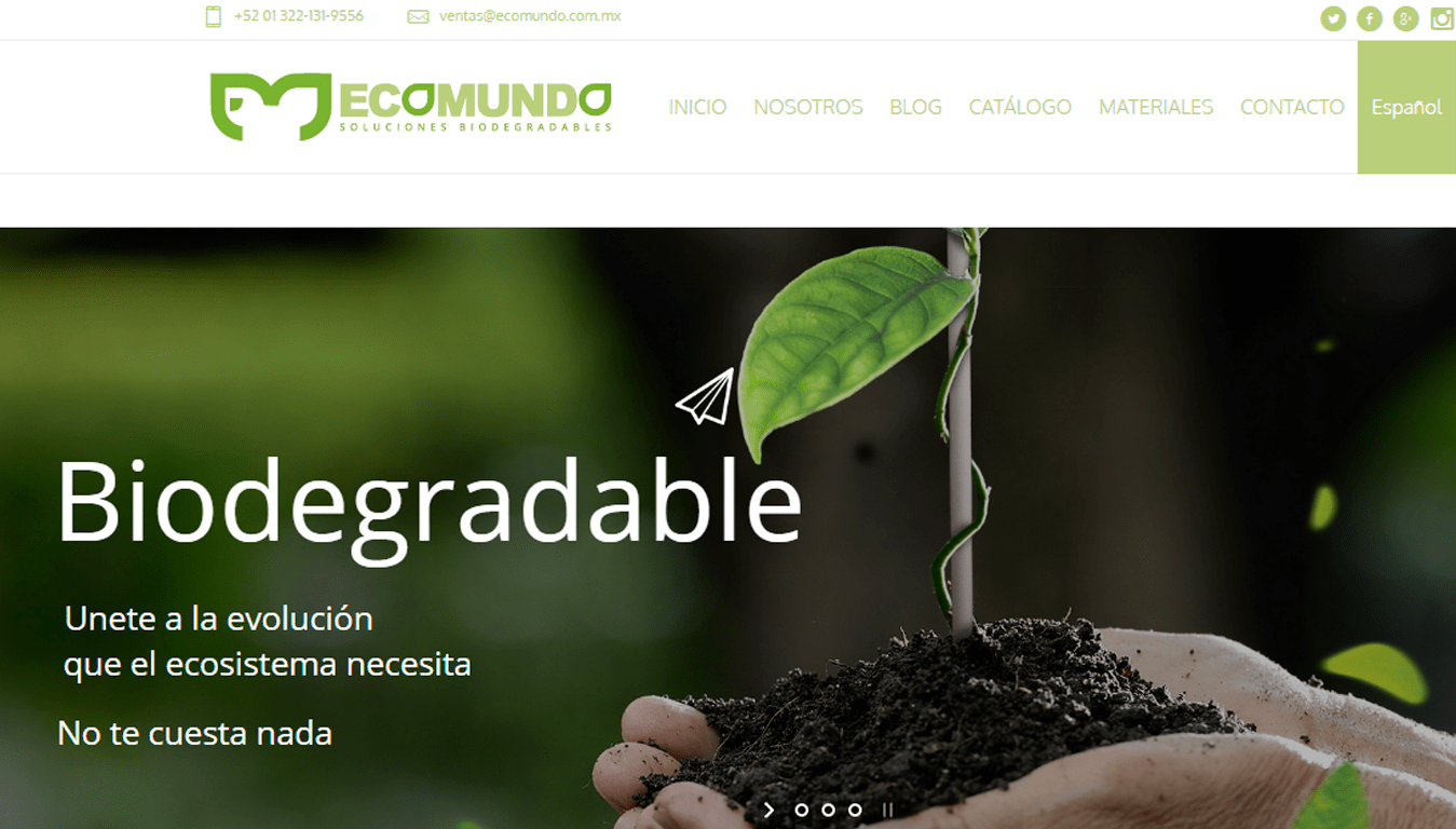 diseño web Ecomundo Soluciones Biodegradables puerto vallarta
